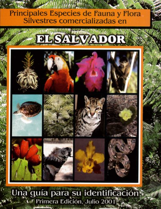 Fauna Y Flora De El Ecuador Fauna Y Flora De Ecuador My Xxx Hot Girl